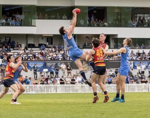 Double Blues to attack season 2025 with Lumin Sports